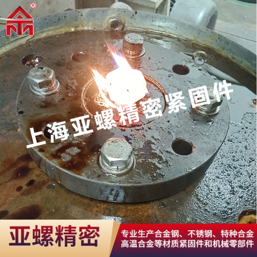 亚螺（ATM）定制特殊紧固件- 1.4401/06Cr17Ni12Mo2/S31608/ ASTM316/ UNS S3160螺栓/螺母