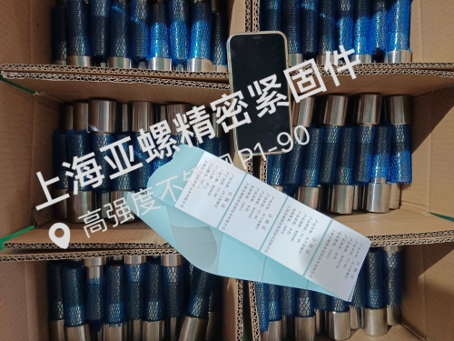 ​高强度不锈钢P1-90螺栓