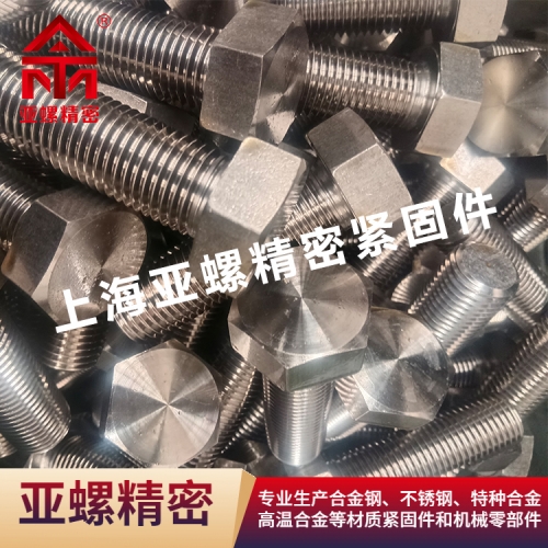 ATM customized special fasteners - S30400/06Cr19Ni9/S30408/ASTM304/1.4301 bolts/nuts