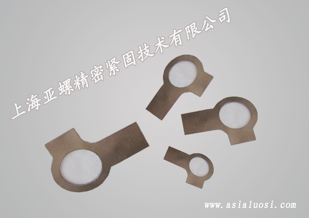 ​Stainless steel single ear washer
