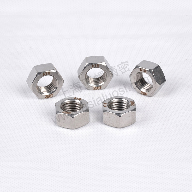 ​SAF2507(F53/S32750/1.4410)nut