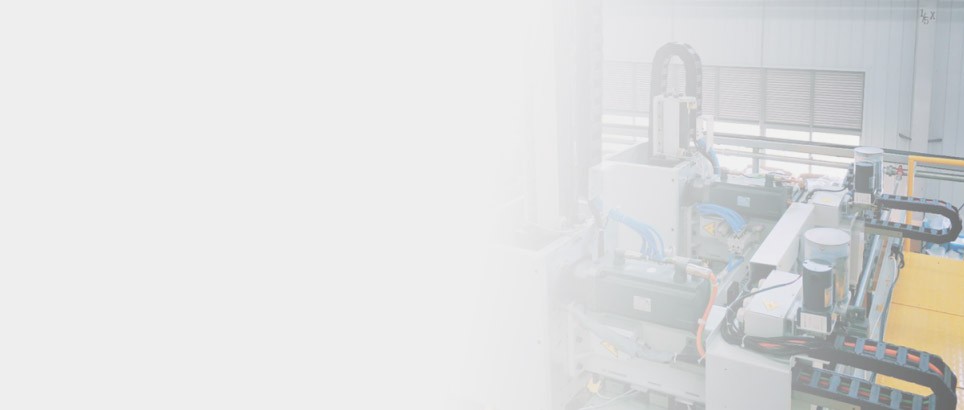 Austenitic stainless steel fasteners